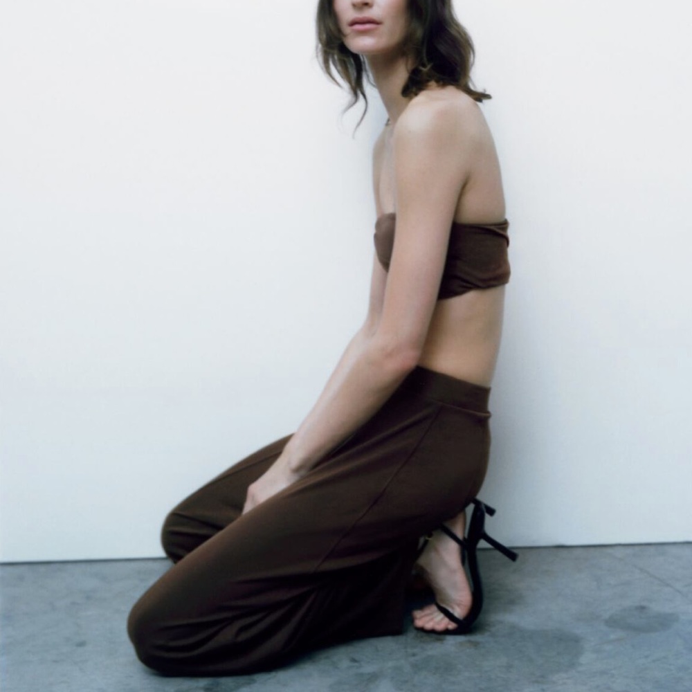 Zara Brown Crop Top NWT